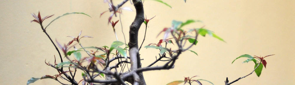 Lost and Stolen Property in Malaysia